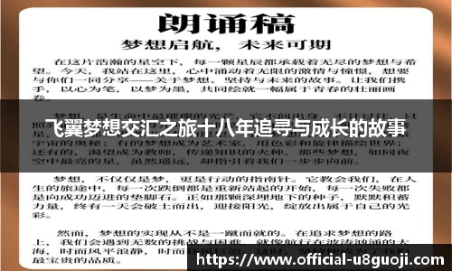 飞翼梦想交汇之旅十八年追寻与成长的故事